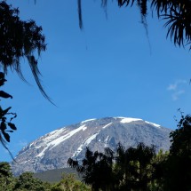 Kilimanjoro seen from the way close to Mweka Camp